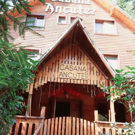 Rucăr 卡巴那安库特伊旅馆酒店 外观 照片