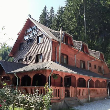 Rucăr 卡巴那安库特伊旅馆酒店 外观 照片