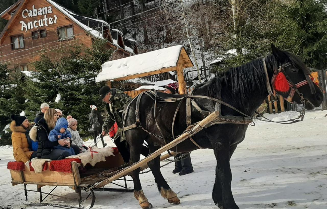 Rucăr 卡巴那安库特伊旅馆酒店 外观 照片
