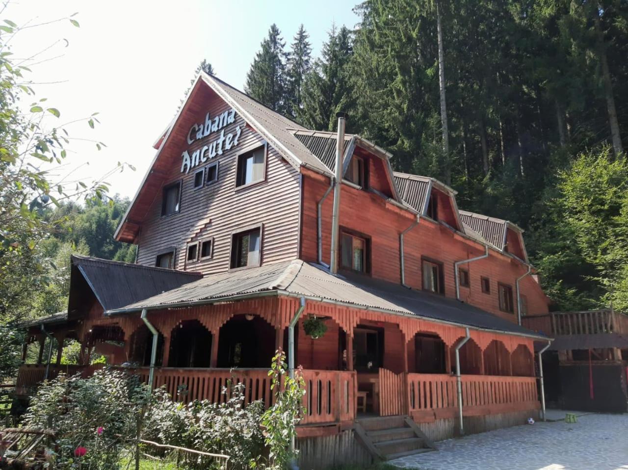 Rucăr 卡巴那安库特伊旅馆酒店 外观 照片