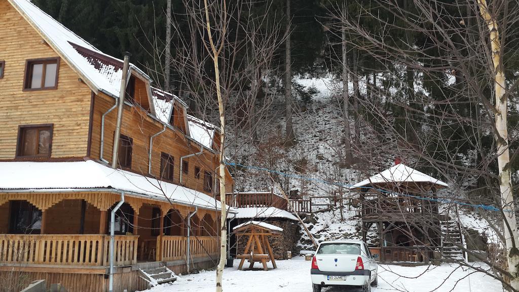 Rucăr 卡巴那安库特伊旅馆酒店 外观 照片