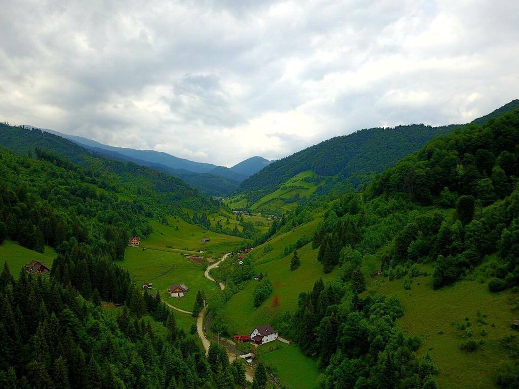 Rucăr 卡巴那安库特伊旅馆酒店 外观 照片